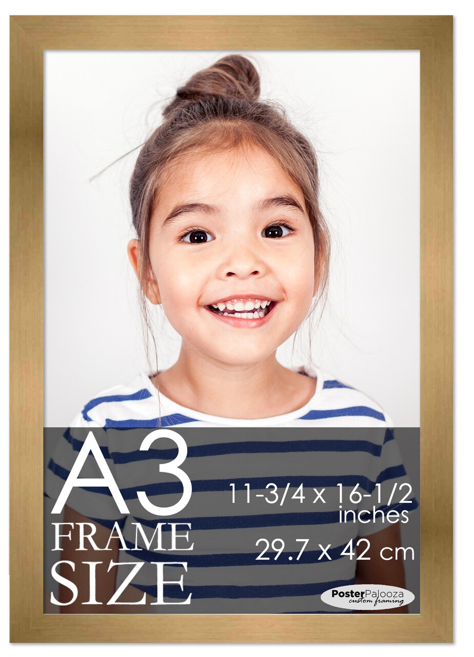 A3 Frame Gold Bronze Modern Minimalist 11.75x16.5 Frame - Wood A3 Picture Frame, UV Acrylic